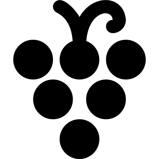 vit absorption